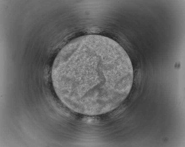 X0000111790655200909031158