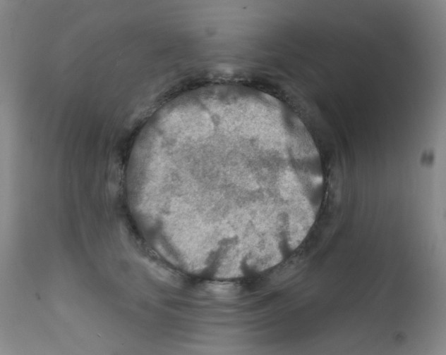 X0000111790659200909031158