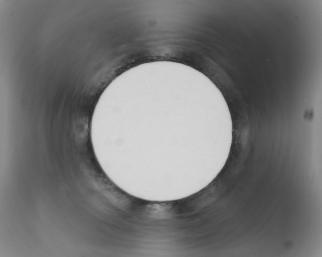 X0000111790660200909031158