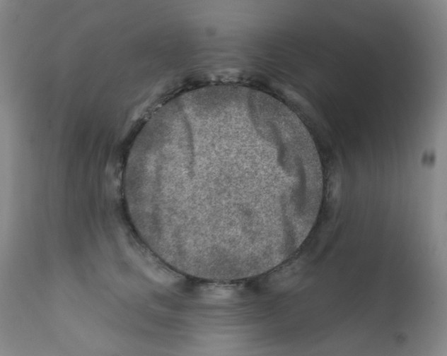 X0000111790661200909031158