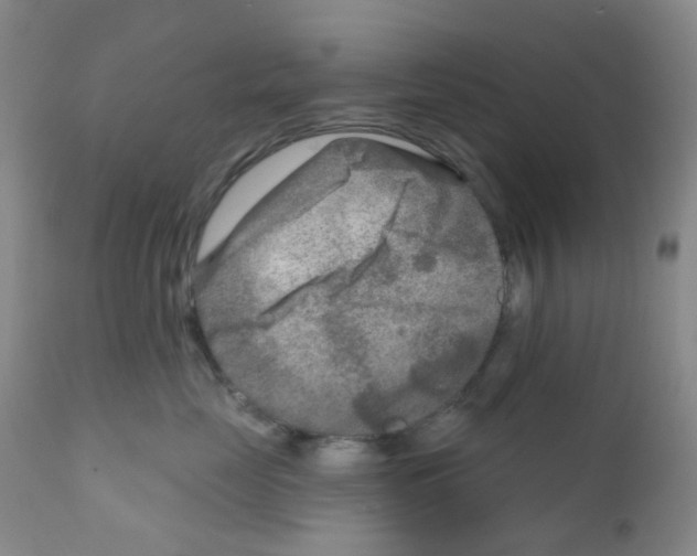 X0000111790669200909031159