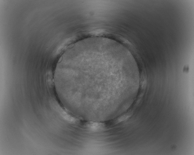 X0000111790670200909031159