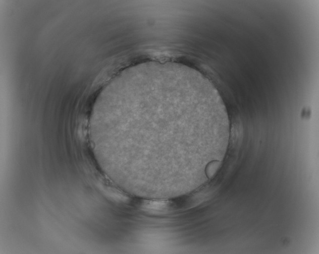 X0000111790671200909031159