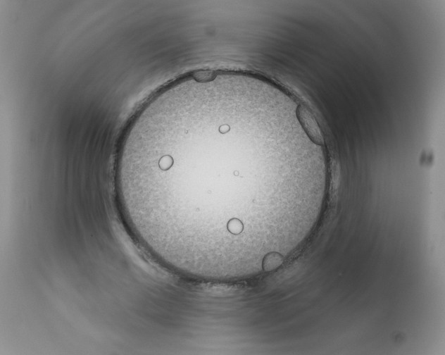 X0000111790677200909031158