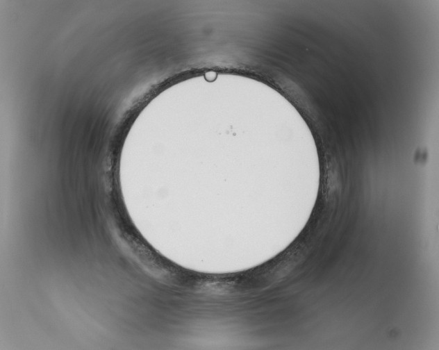 X0000111790680200909031158