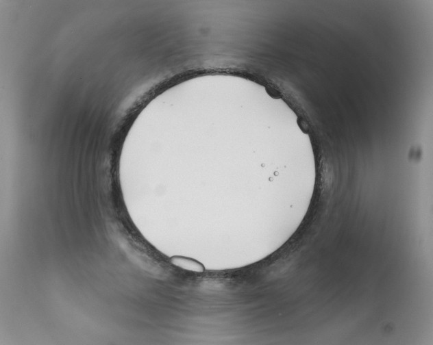 X0000111790684200909031158