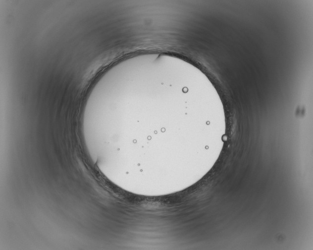 X0000111790685200909031158