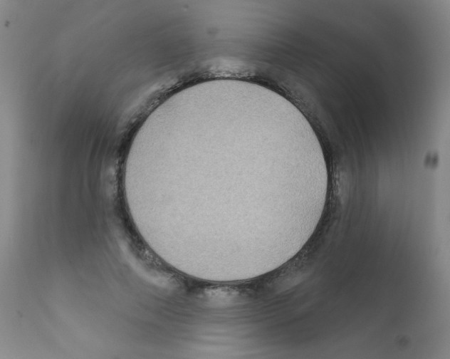 X0000111790690200909031158