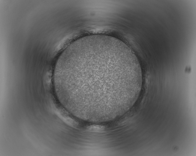 X0000111790691200909031158