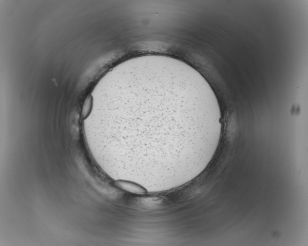 X0000111790692200909031158