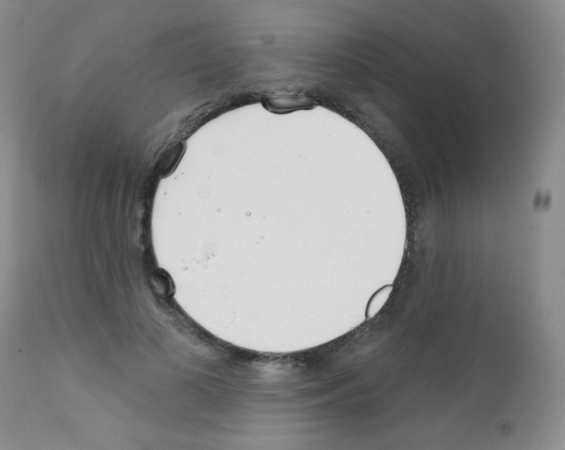 X0000111790693200909031157