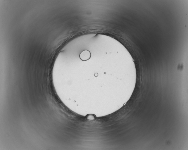 X0000111790696200909031157