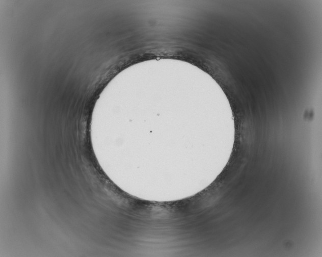 X0000111790697200909031157