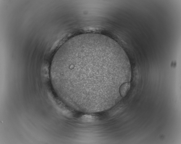 X0000111790699200909031157