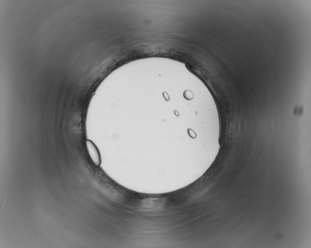 X0000111790700200909031157