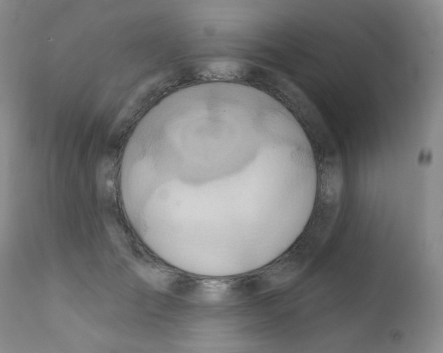 X0000111790701200909031157