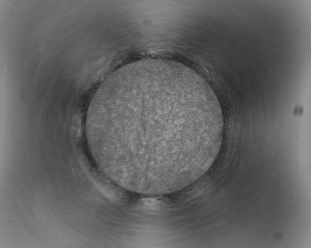 X0000111790703200909031157