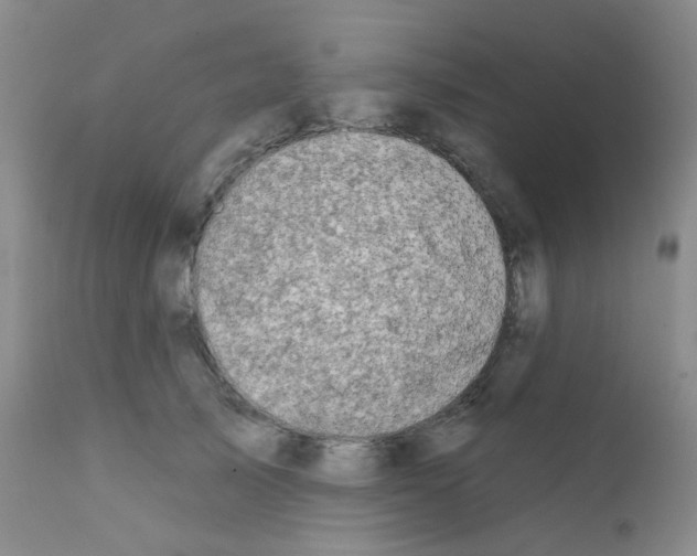 X0000111790705200909031157