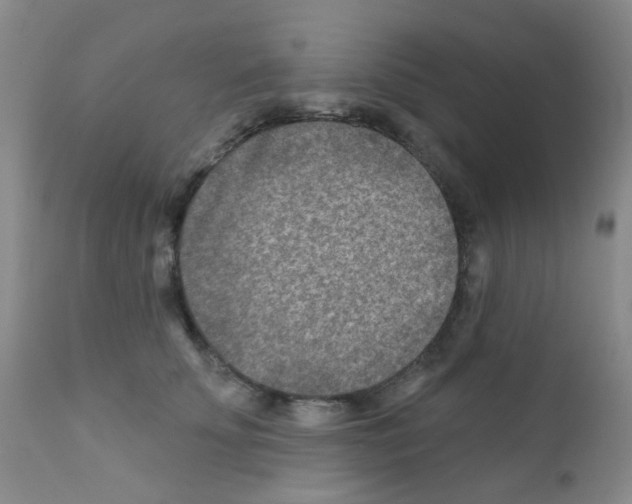 X0000111790707200909031157