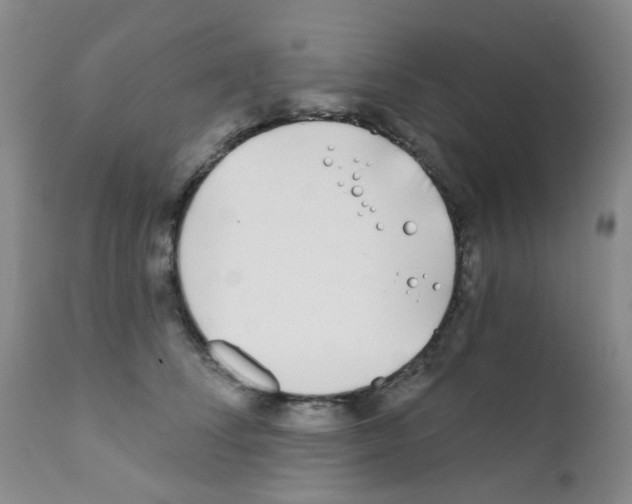 X0000111790708200909031157