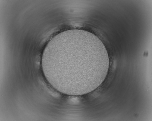 X0000111790710200909031157