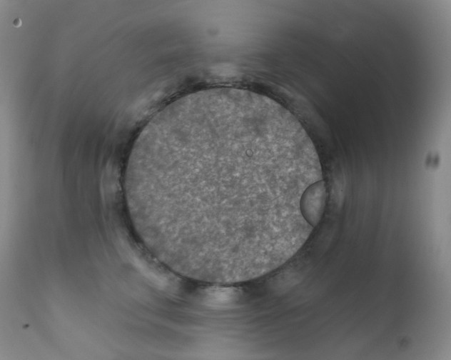 X0000111790711200909031157