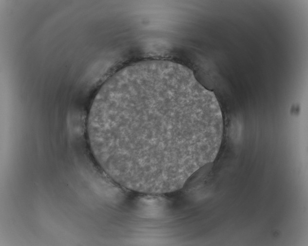 X0000111790712200909031157