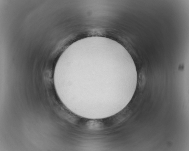 X0000111790714200909031157