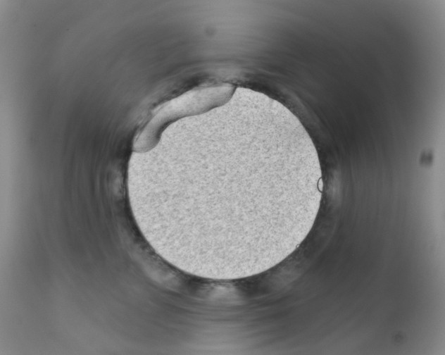 X0000111790715200909031157