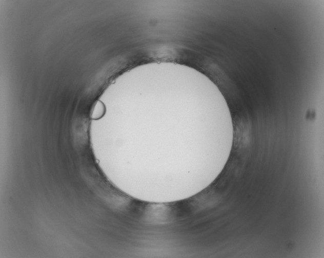 X0000111790717200909031157