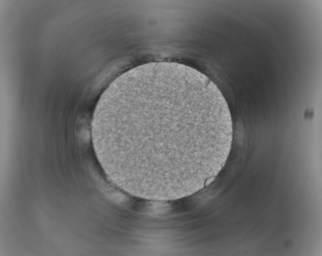 X0000111790719200909031157