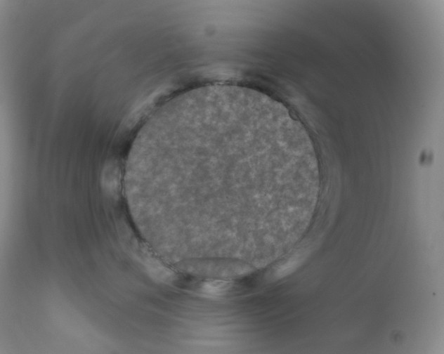 X0000111790720200909031157