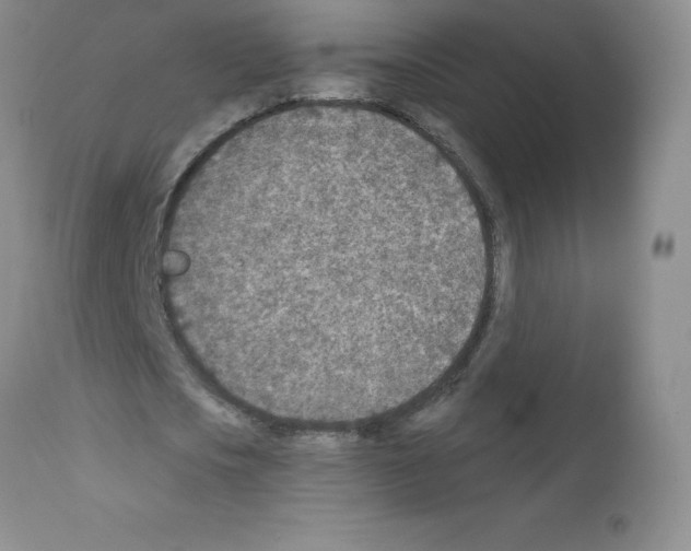 X0000111790721200909031156