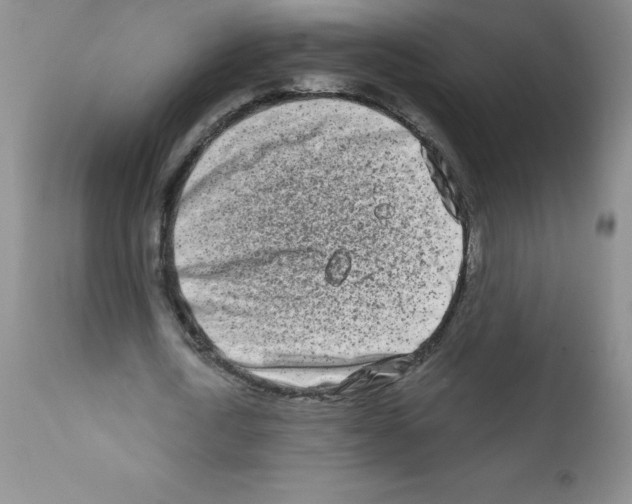 X0000111790722200909031156