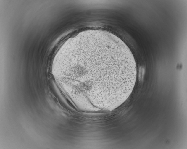 X0000111790723200909031156