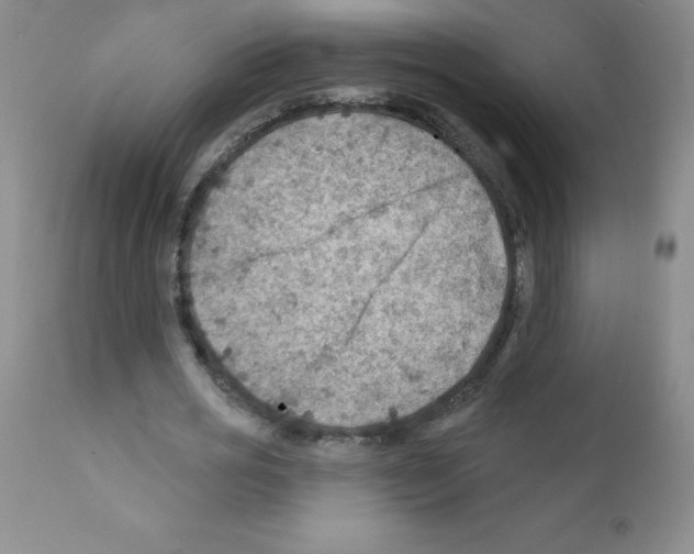 X0000111790725200909031156