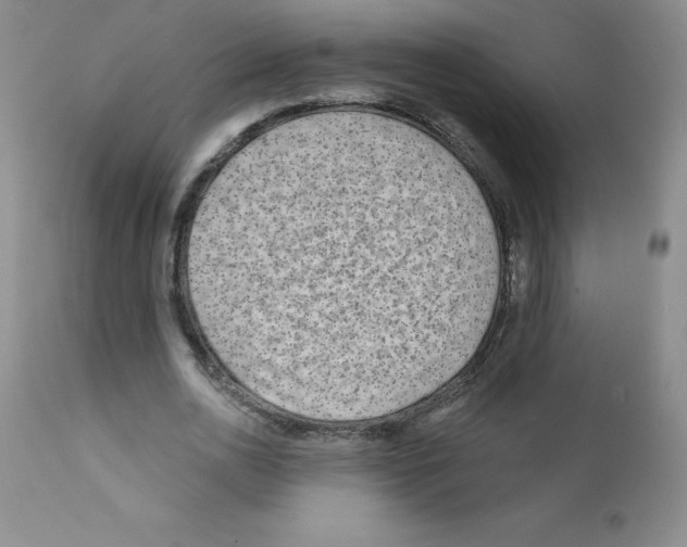 X0000111790726200909031157