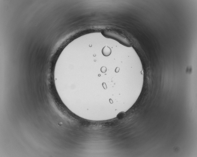 X0000111790728200909031157