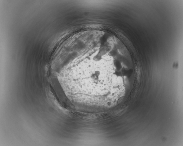 X0000111790729200909031157