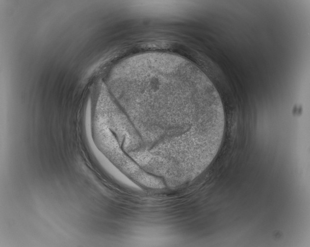 X0000111790735200909031157