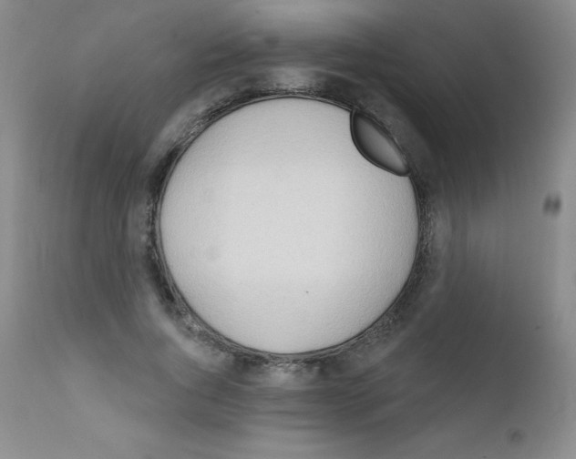 X0000111790736200909031157