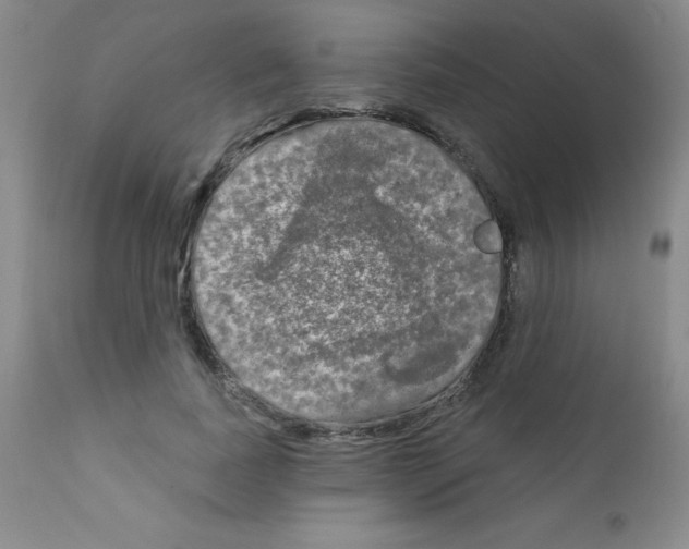 X0000111790739200909031157