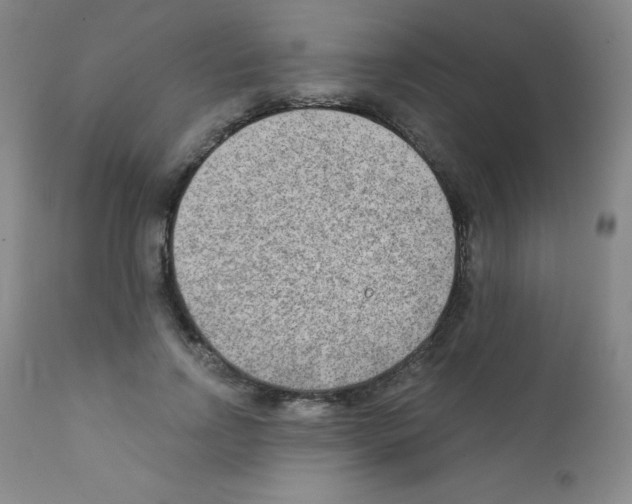 X0000111790742200909031157