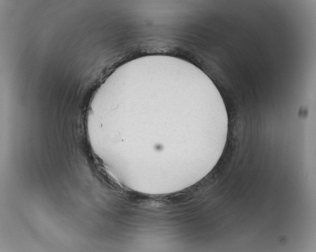 X0000111790743200909031157