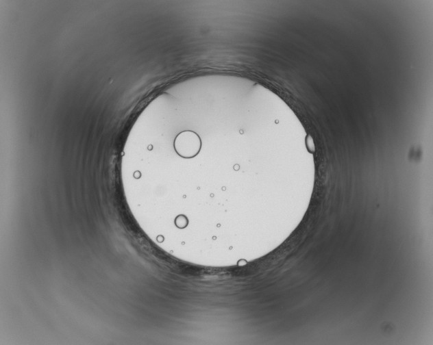 X0000111790744200909031157