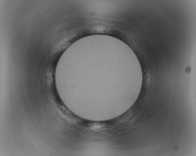 X0000111790746200909031157