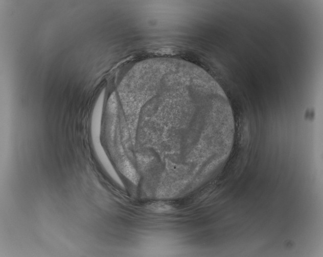 X0000111790747200909031157