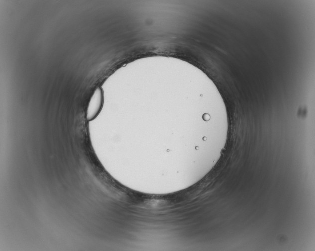 X0000111790748200909031157