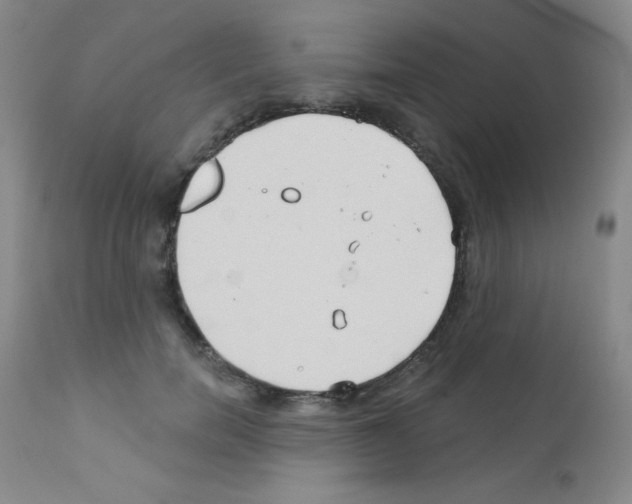 X0000111790750200909031157