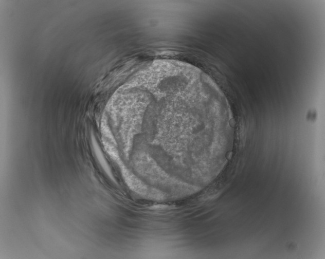 X0000111790751200909031157